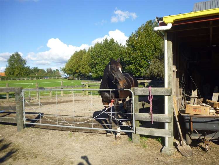 1375 Mcclure Street Pirongia_22