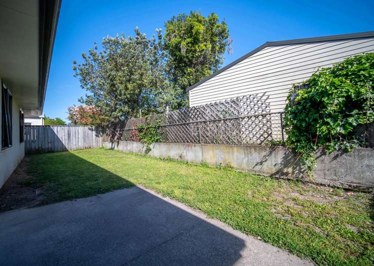 20a Palm Avenue Stoke_13