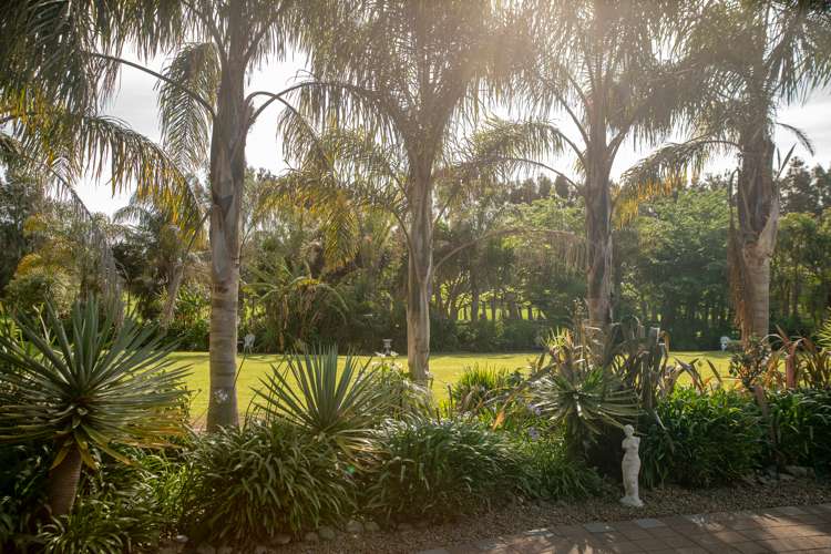 48 Elizabeth Street Waikanae_54