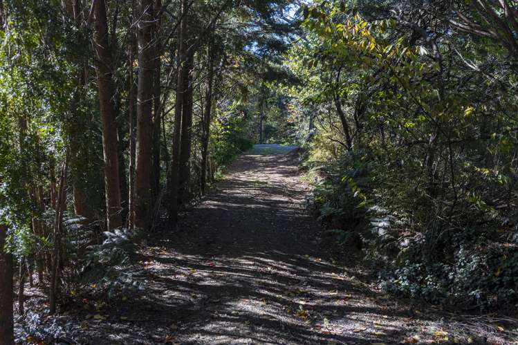 31 Totara School Road Totara North_33