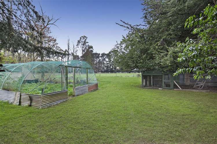 261 Oxford Road Fernside_24