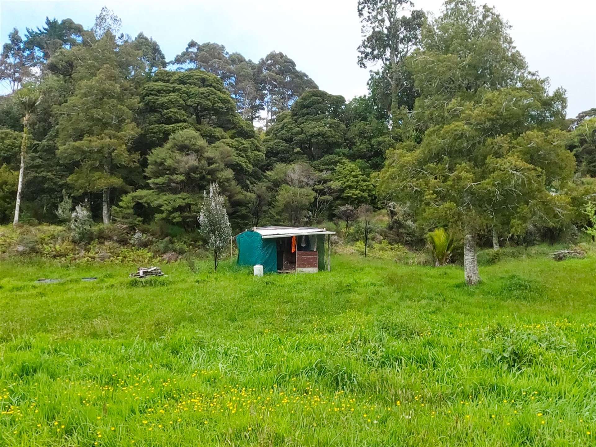 Lot 3 Waiotemarama Road Waimamaku Far North Houses for Sale