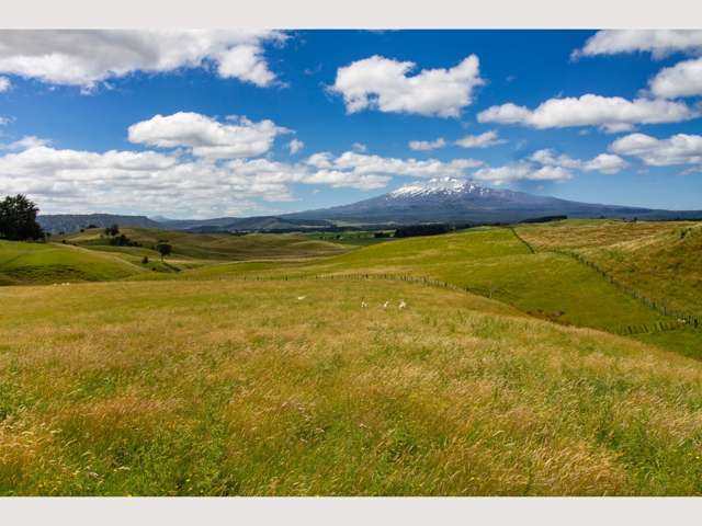 269 Kopurutuku Road Ohakune_1