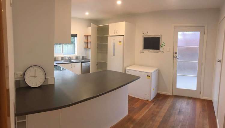 20 Montrose Street Sydenham_0