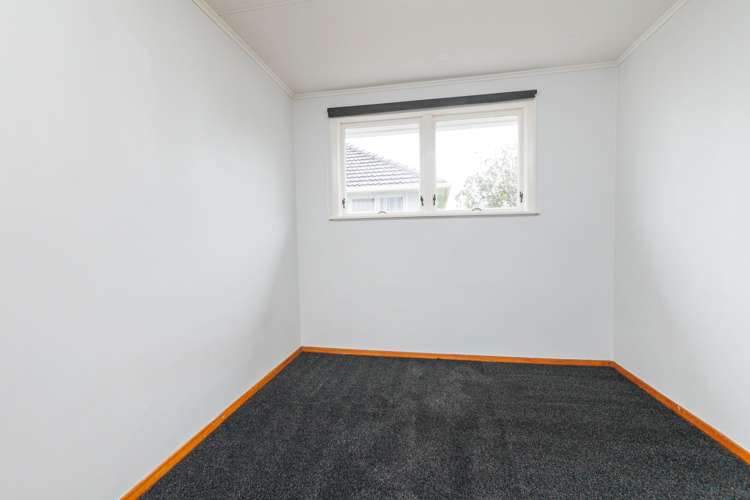 1 Ventura Grove Bulls_13