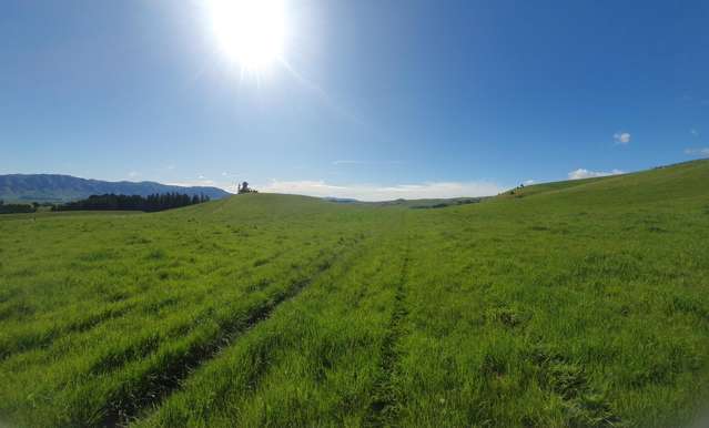 Lot 2 Cricklewood Rise Grants Road Kurow_4