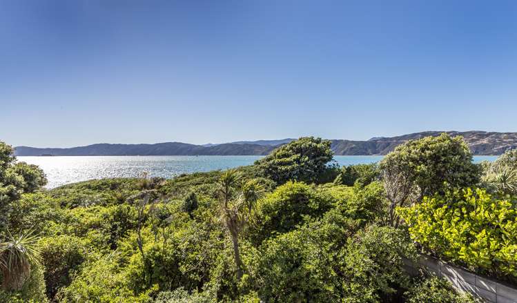 29 Boardwalk Lane Seatoun_15