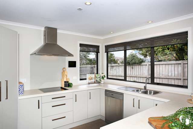 26a Lawrie Avenue Pukekohe_2