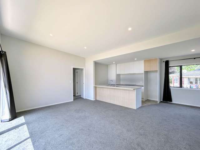 3A McShane Street Pukekohe_2