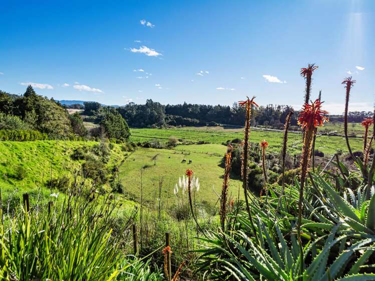108 Wairoa Road Wairoa_27