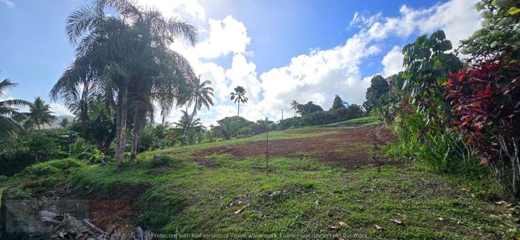 Address withheld Savusavu_8