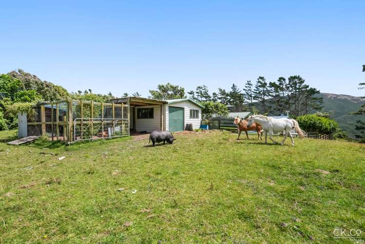 10 Cottle Park Drive Normandale_26