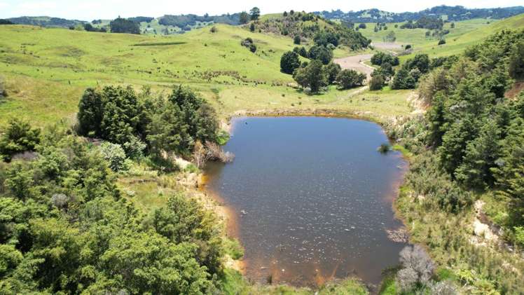 95 Mason Road Maromaku_11