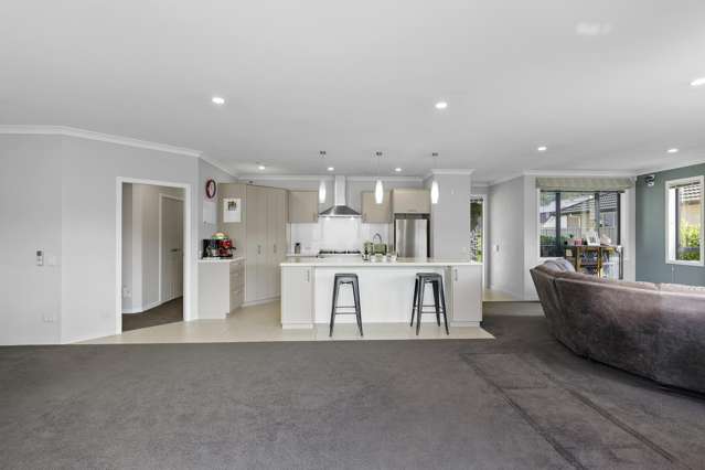 9 Vernon Grove Brown Owl_4