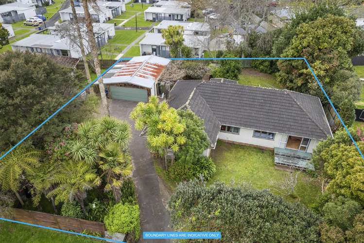 17 Kervil Avenue Te Atatu Peninsula_0