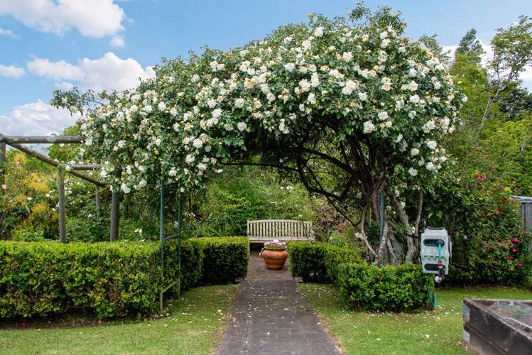 37 Mcmillan Place Mellons Bay_24