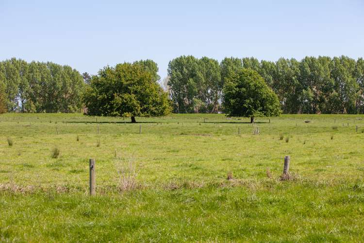 16 Ferry Road Hikutaia_19