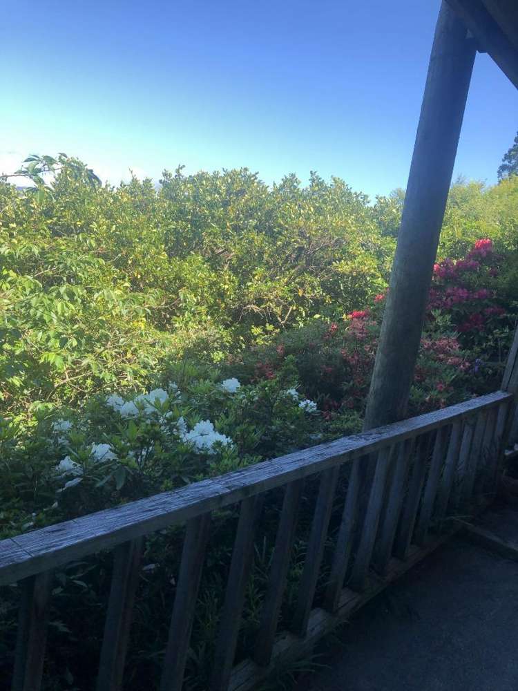 5 Kauri Grove Masterton_7