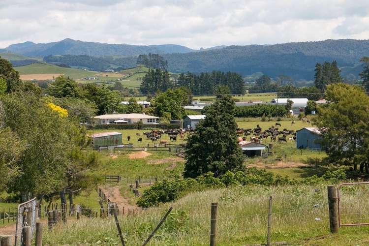 305 Waihi Beach Road Waihi_11