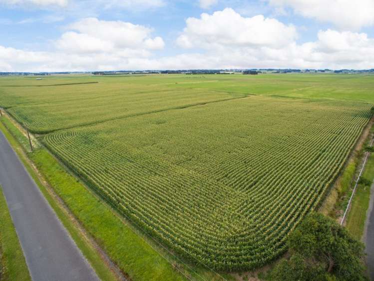 788 Tangimoana Road Ohakea_2