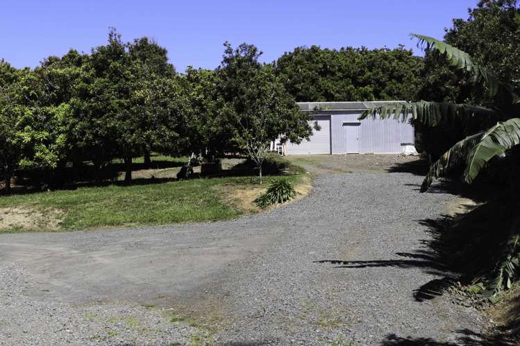 880 South Head Road South Head_6