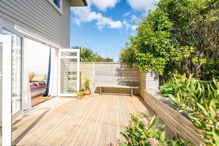 15a Hoggard Street Vogeltown_20