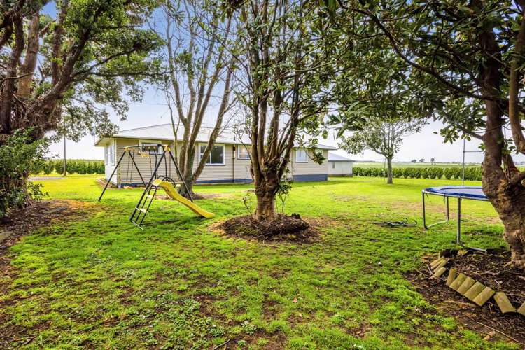 376 Manaia Road Manaia_30