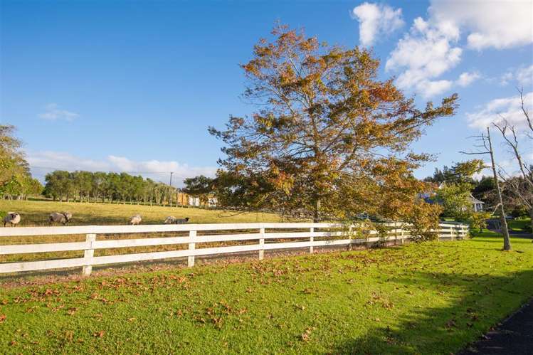 58 Glenmore Road Coatesville_9