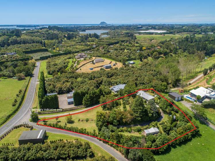29 Whakamarama Road Whakamarama_16