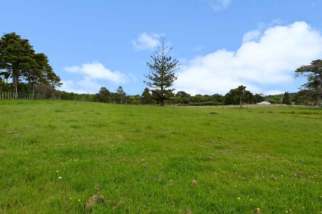 867 Kahikatea Flat Road Waitoki_2
