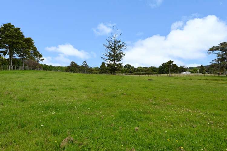 867 Kahikatea Flat Road Waitoki_9