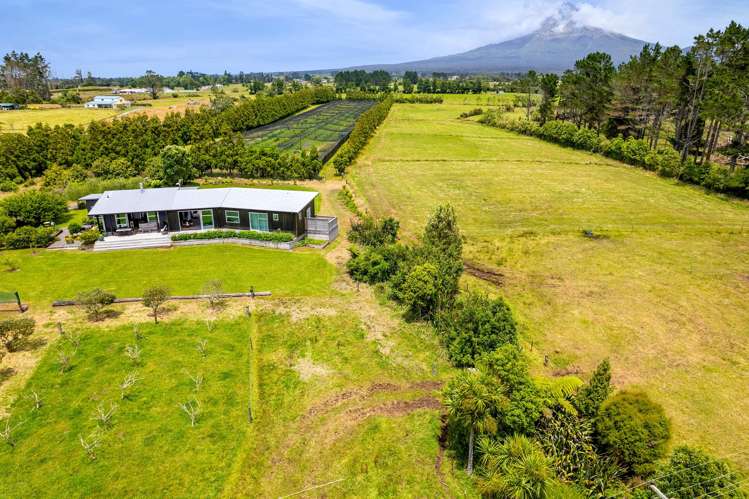 438B Alfred Road Egmont Village_57