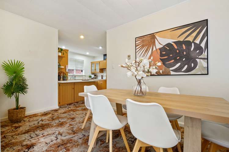 13 Curries Road Hillsborough_9