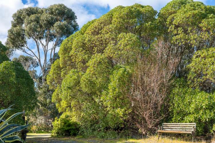 1960 Redwood Pass Road Seddon_28