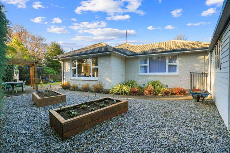 1 Cunliffe Road Redwood_25