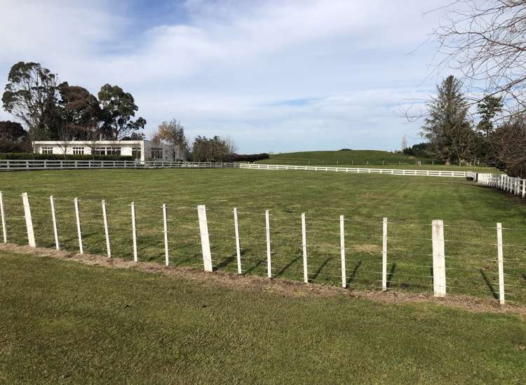 100 Baffin Street Pirongia_11