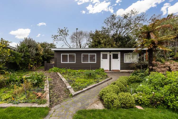 46 Vigor Brown Street Napier South_21