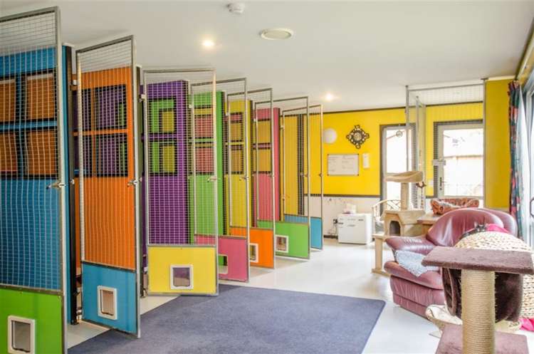 57 Pearson Road Cromwell_27