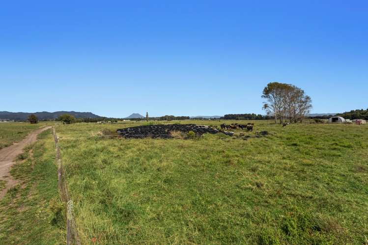 379B Powdrell Road Awakeri_20