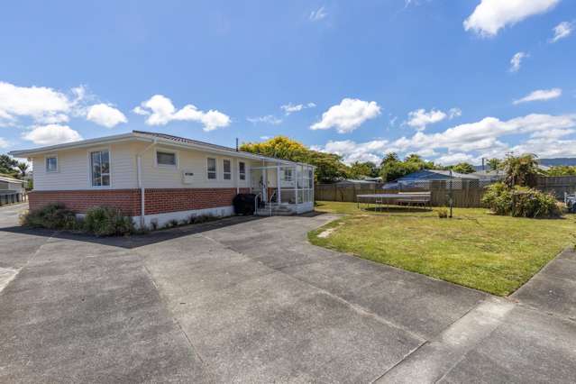 10 Hobson Street Levin_1