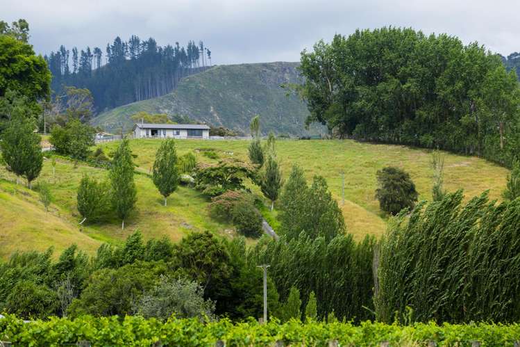 909A Wharekopae Road Ngatapa_2