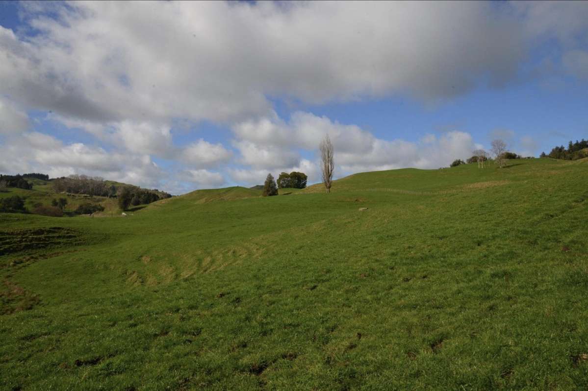 154 State Highway 3_5