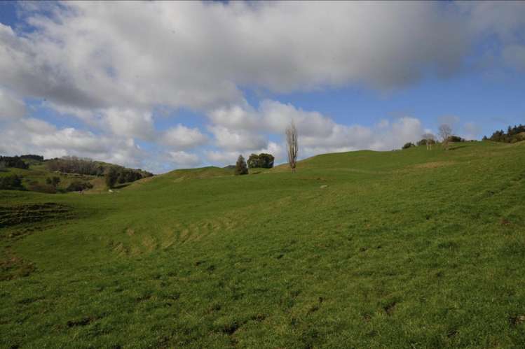 154 State Highway 3 Te Kuiti_9