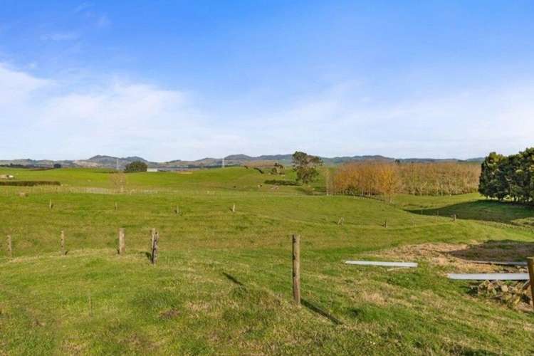 673 HETHERINGTON ROAD Rotongaro_25