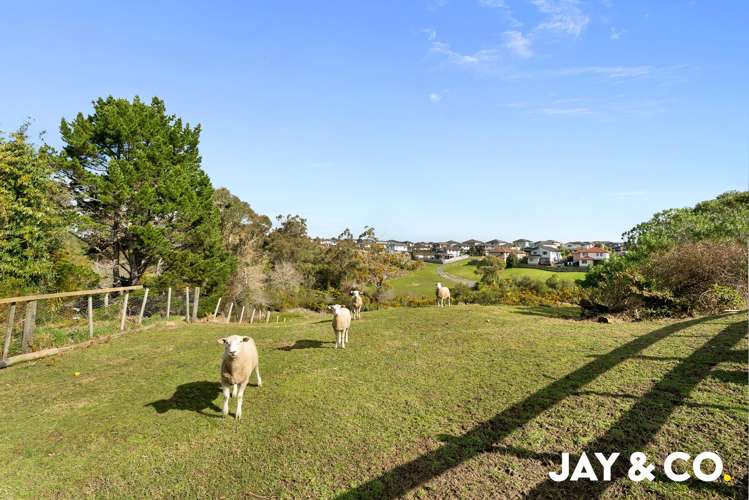 129 Kaipara Road Ardmore_23