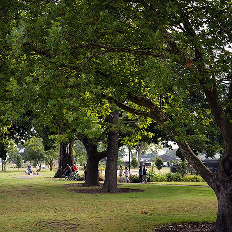 Ravenswood North Canterbury_2