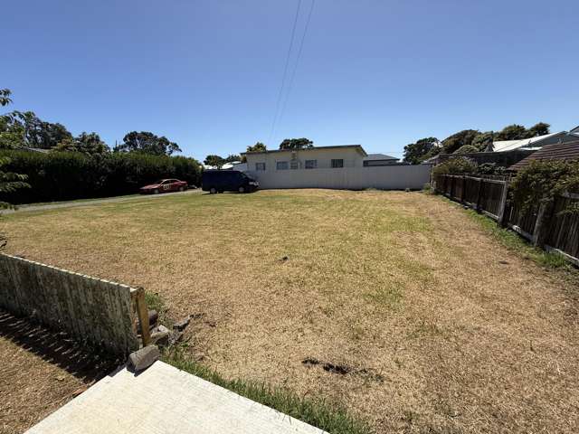 110A Browne Street Waitara_1
