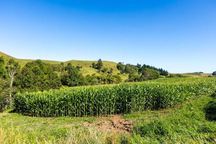 860 Egmont Road Hillsborough_15