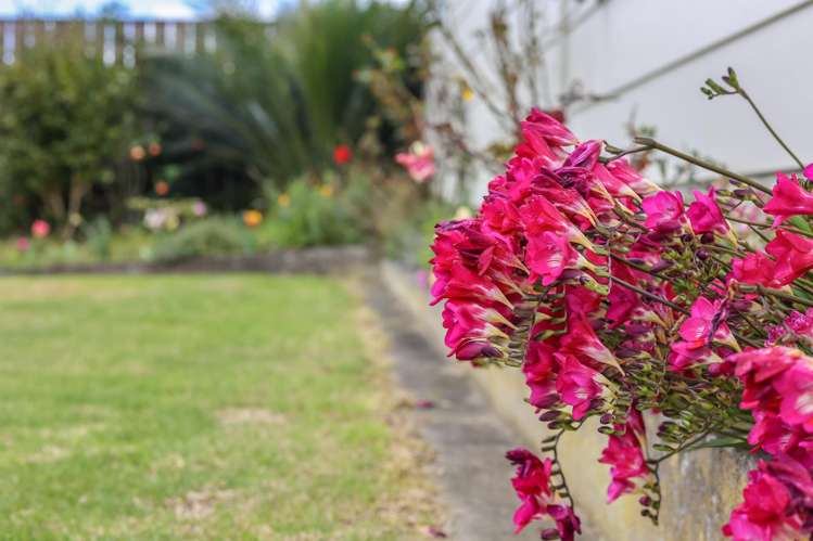 18 Vogel Street Levin_13