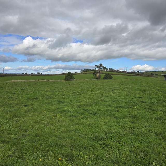 146 Victoria Road Stratford_4